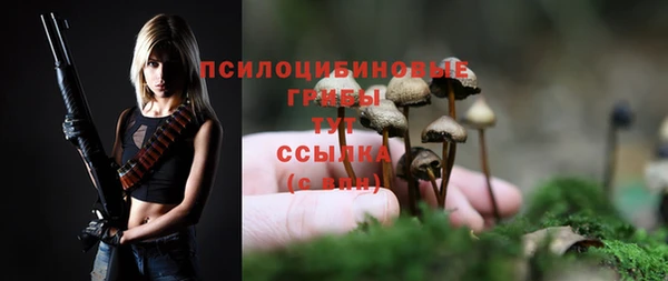 соль ск Алзамай