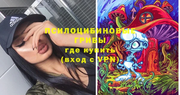 амф Алексеевка