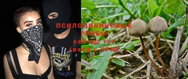 соль ск Алзамай