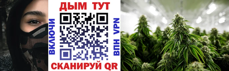 сколько стоит  Орехово-Зуево  Конопля VHQ 